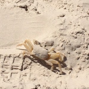 Riviera de São Lourenço